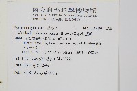 瓶蕨藏品圖，第2張