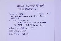 細葉鐵角蕨藏品圖，第2張