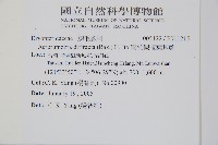 彎柄假複葉耳蕨藏品圖，第2張