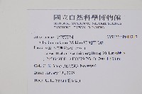 密腺蹄蓋蕨藏品圖，第2張