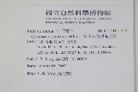 狹基鉤毛蕨藏品圖，第2張