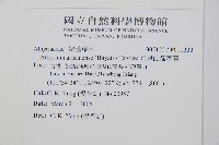 阿里山蹄蓋蕨藏品圖，第2張