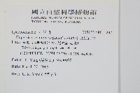 小垂枝石松藏品圖，第2張