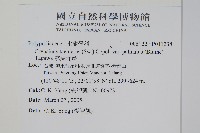 掌葉茀蕨藏品圖，第2張