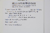 彎柄假複葉耳蕨藏品圖，第2張