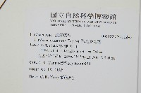 海島鱗始蕨藏品圖，第2張