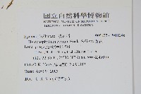 蕗蕨藏品圖，第2張