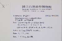 假蹄蓋蕨、東洋蹄蓋蕨藏品圖，第2張