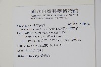 連孢一條線蕨藏品圖，第2張