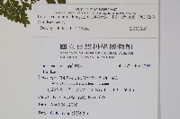 闊片鱗始蕨、錢氏鱗始蕨藏品圖，第2張