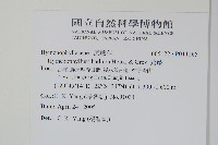 蕗蕨藏品圖，第2張