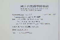 短柄禾葉蕨藏品圖，第2張