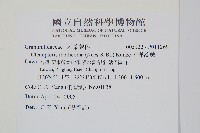 登錄號:P011269藏品圖，第2張