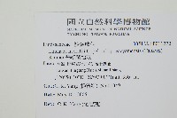 攀緣鱗始蕨藏品圖，第2張