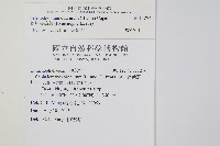 線片長筒蕨藏品圖，第2張