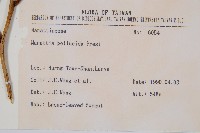 觀音座蓮舅藏品圖，第2張