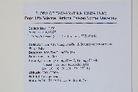 亨氏擬旱蕨藏品圖，第2張