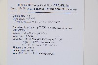 海州骨碎補藏品圖，第2張