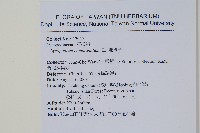 地刷子藏品圖，第2張