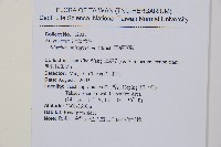 宿蹄蓋蕨藏品圖，第2張