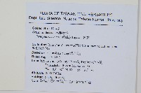 蒿蕨藏品圖，第2張