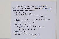 爪哇舌蕨藏品圖，第2張