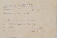 木賊葉石松藏品圖，第2張