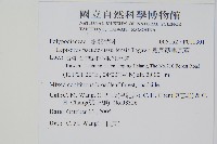 擬烏蘇里瓦葦藏品圖，第2張