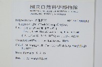 萊氏線蕨藏品圖，第2張