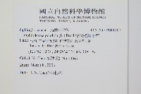 帶狀瓶爾小草藏品圖，第2張