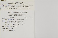 大黑柄鐵角蕨、黃鱗鐵角蕨、大羽鐵角蕨藏品圖，第5張