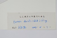 華北石葦藏品圖，第2張