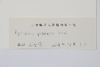 草問荊藏品圖，第2張