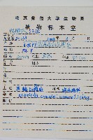 黑鱗短腸蕨藏品圖，第2張