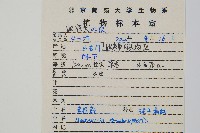 莢果蕨藏品圖，第2張