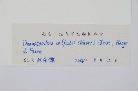 溪洞碗蕨藏品圖，第2張