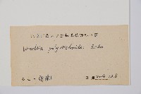 岩蕨藏品圖，第2張