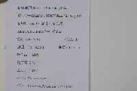 日本狗脊蕨藏品圖，第2張