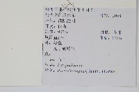 石葦藏品圖，第2張