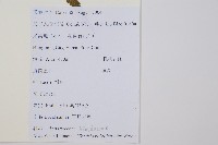 岩蕨藏品圖，第2張