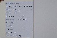 日本狗脊蕨藏品圖，第2張