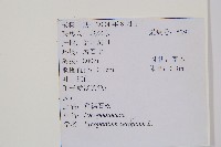 過山龍藏品圖，第2張