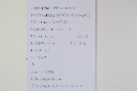 江南卷柏藏品圖，第2張