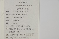 陜西粉背蕨藏品圖，第2張