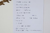翅軸假金星蕨、短柄卵果蕨藏品圖，第2張