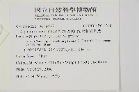 鱗柄鐵角蕨藏品圖，第2張