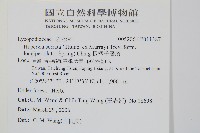 長柄千層塔藏品圖，第2張