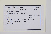 岩穴蕨藏品圖，第2張