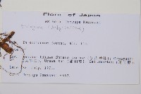 登錄號:P011394藏品圖，第2張