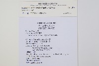 小鐵角蕨藏品圖，第2張